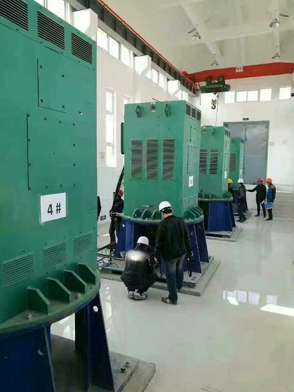 Y6303-4某污水处理厂使用我厂的立式高压电机安装现场报价