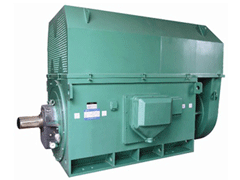 Y6303-4Y系列6KV高压电机