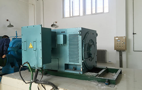 Y6303-4某水电站工程主水泵使用我公司高压电机